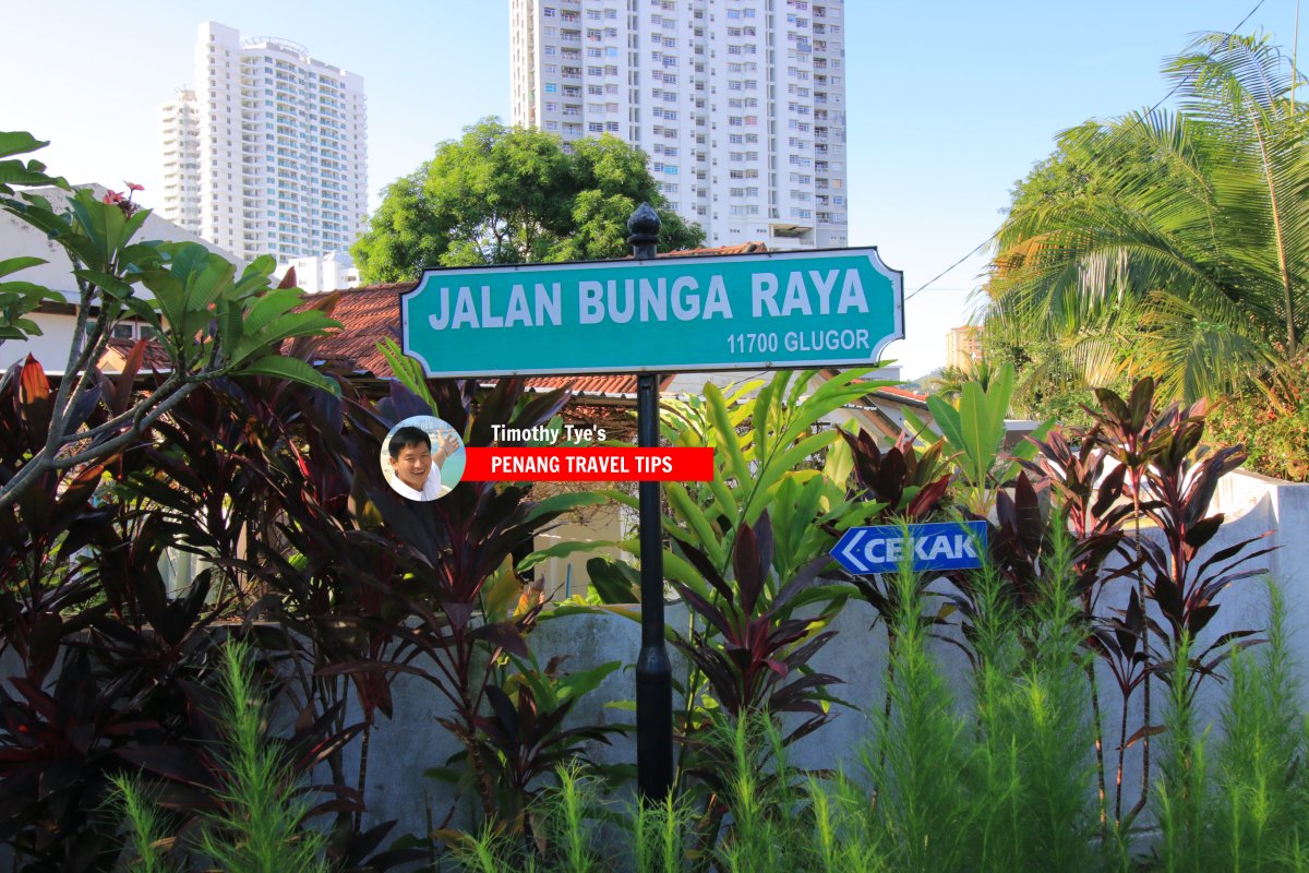 Jalan Bunga Raya Bukit Gelugor