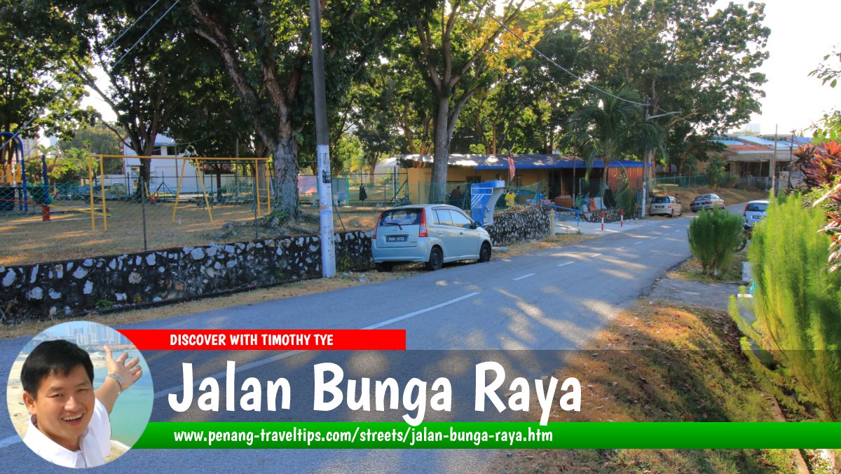 Jalan Bunga Raya Bukit Gelugor