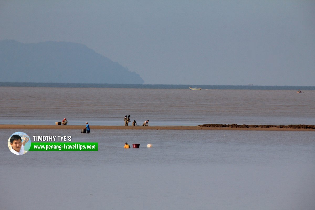 Pantai Kuala Muda, Penaga, Penang