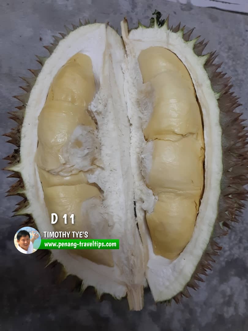 D11 durian