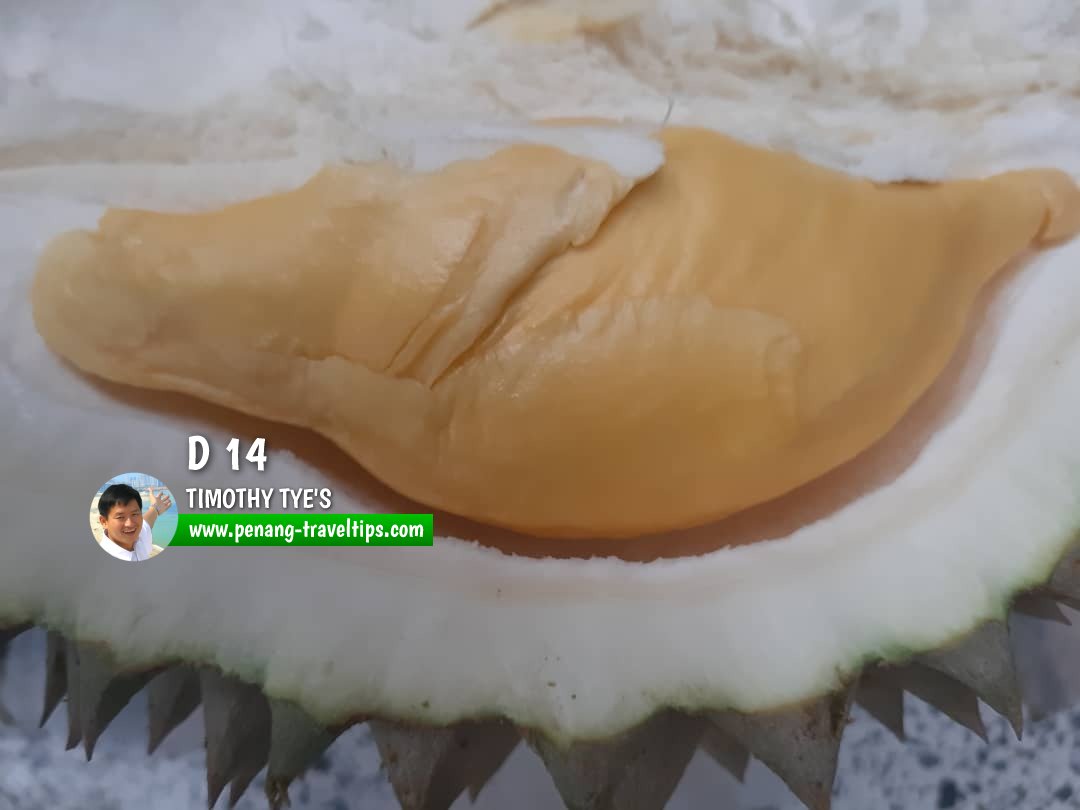 D14 durian