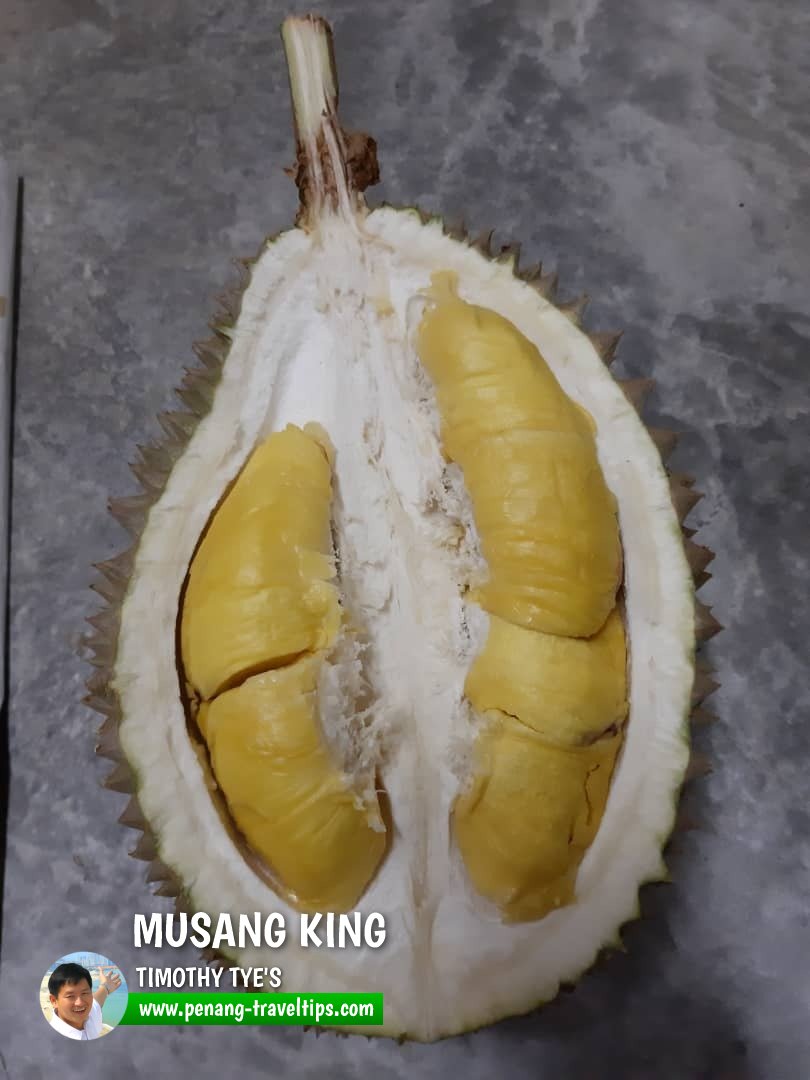 Musang King