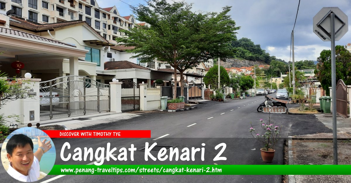 Cangkat Kenari 2, Sungai Ara