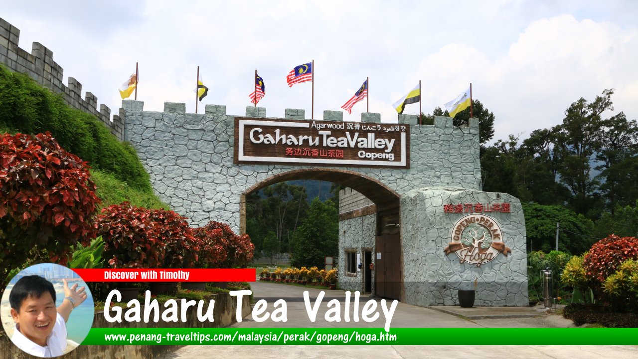 Gaharu Tea Valley, Gopeng