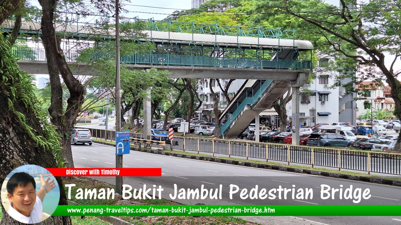 Taman Bukit Jambul Pedestrian Bridge