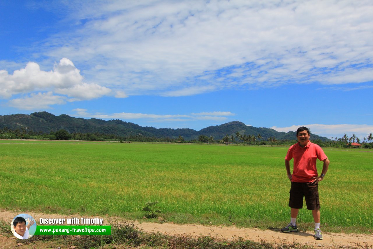 Timothy Tye in Balik Pulau