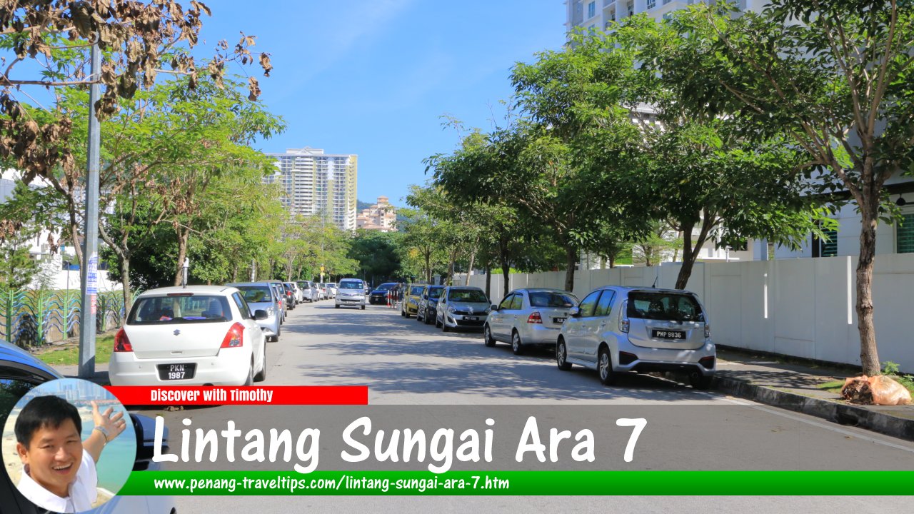 Lintang Sungai Ara 7, Penang