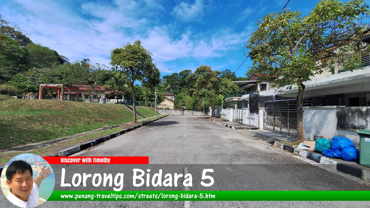 Lorong Bidara 5, Batu Maung