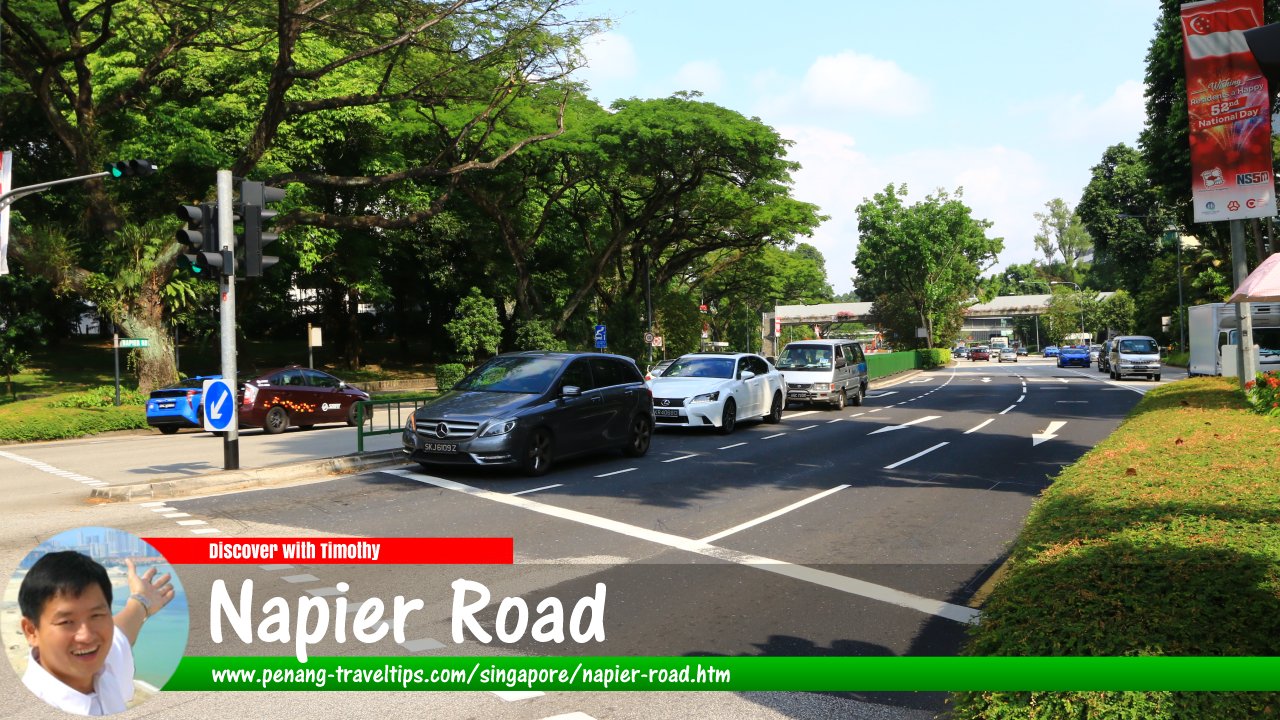 Napier Road, Singapore