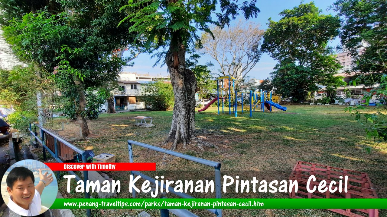 Taman Kejiranan Pintasan Cecil, George Town