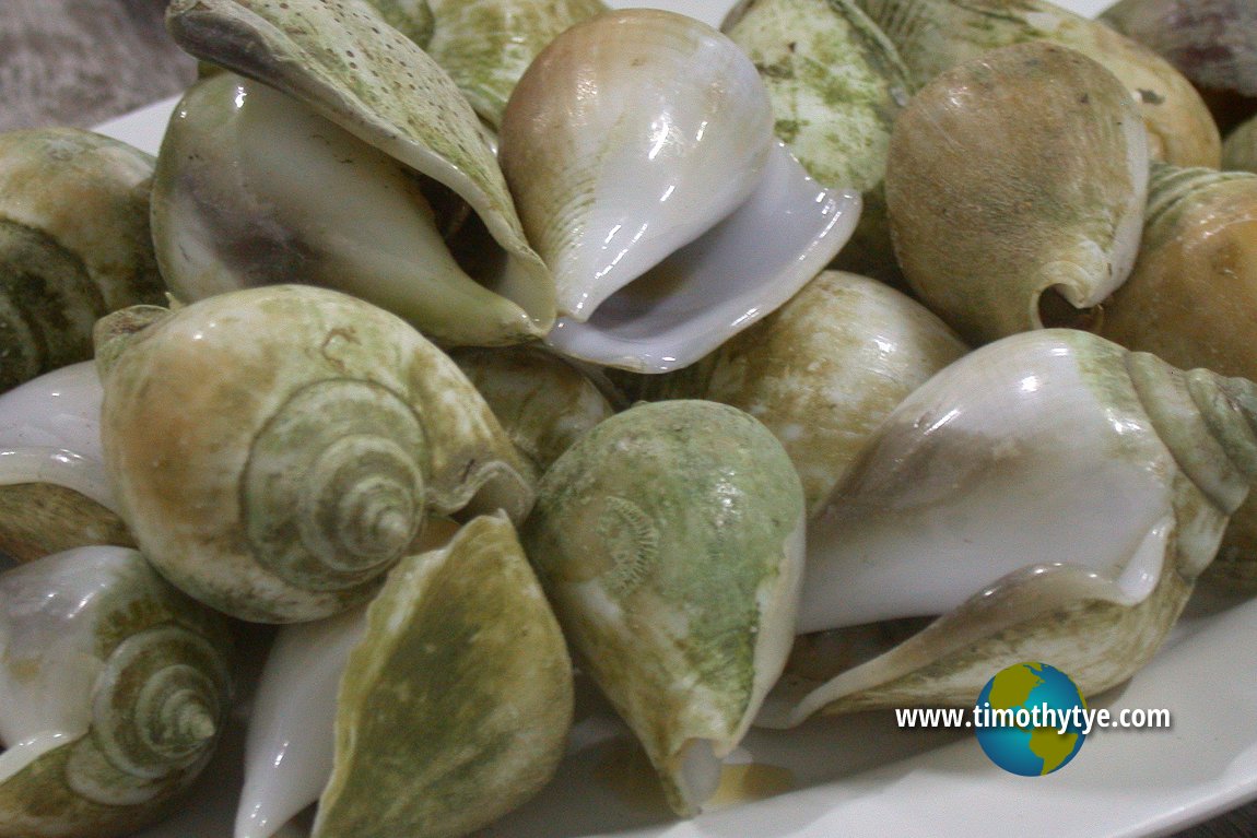 Shells - one of the dishes we had at Noppharat Thara Beach