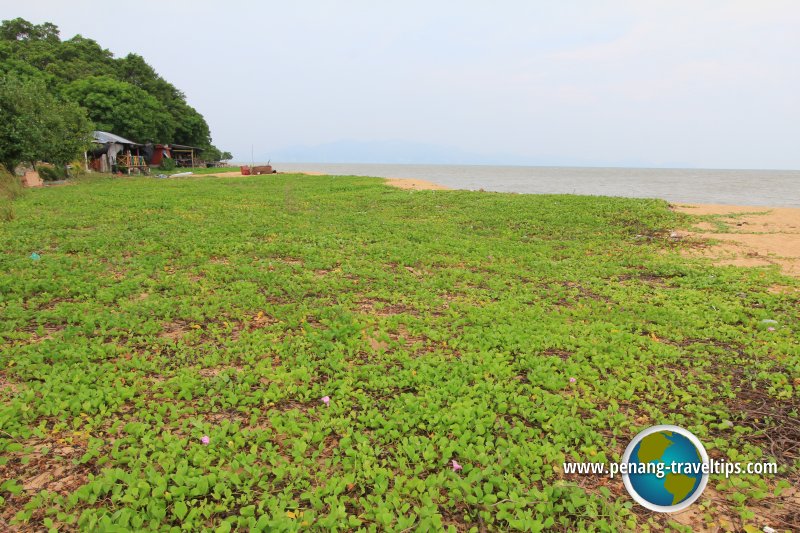 Kuala Muda seaside