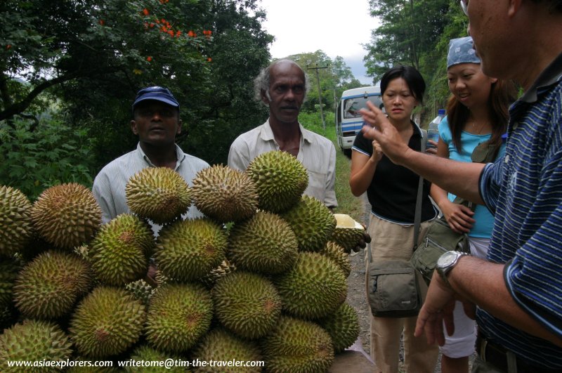 Buying durians in Sri Lanka