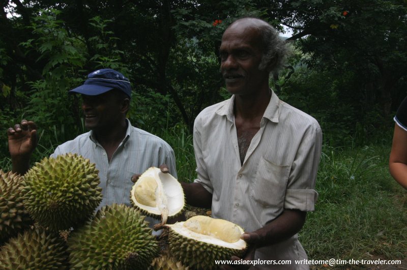 Sri Lanka durian sellers