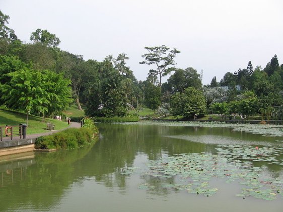 Symphony Lake, Singapore Botanic Gardens