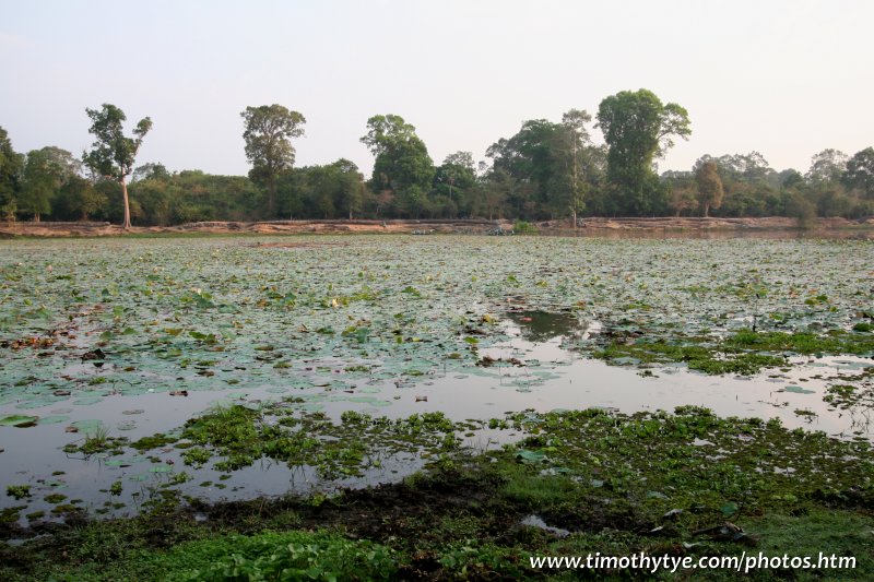 Moat, Angkor Wat