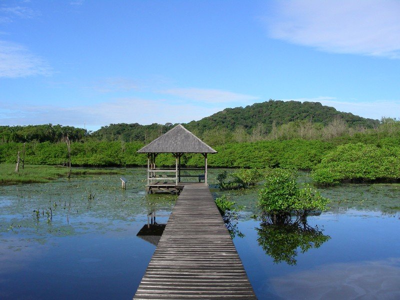 Montjoly wetlands, French Guiana