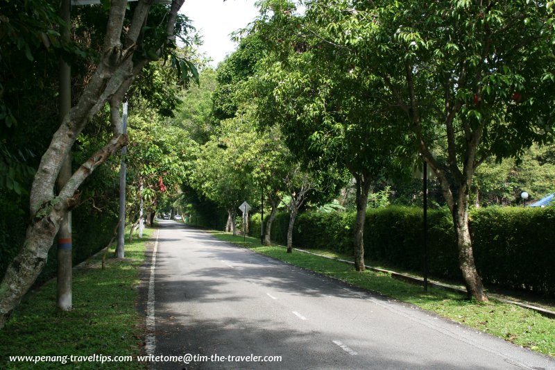 Rose Avenue, George Town